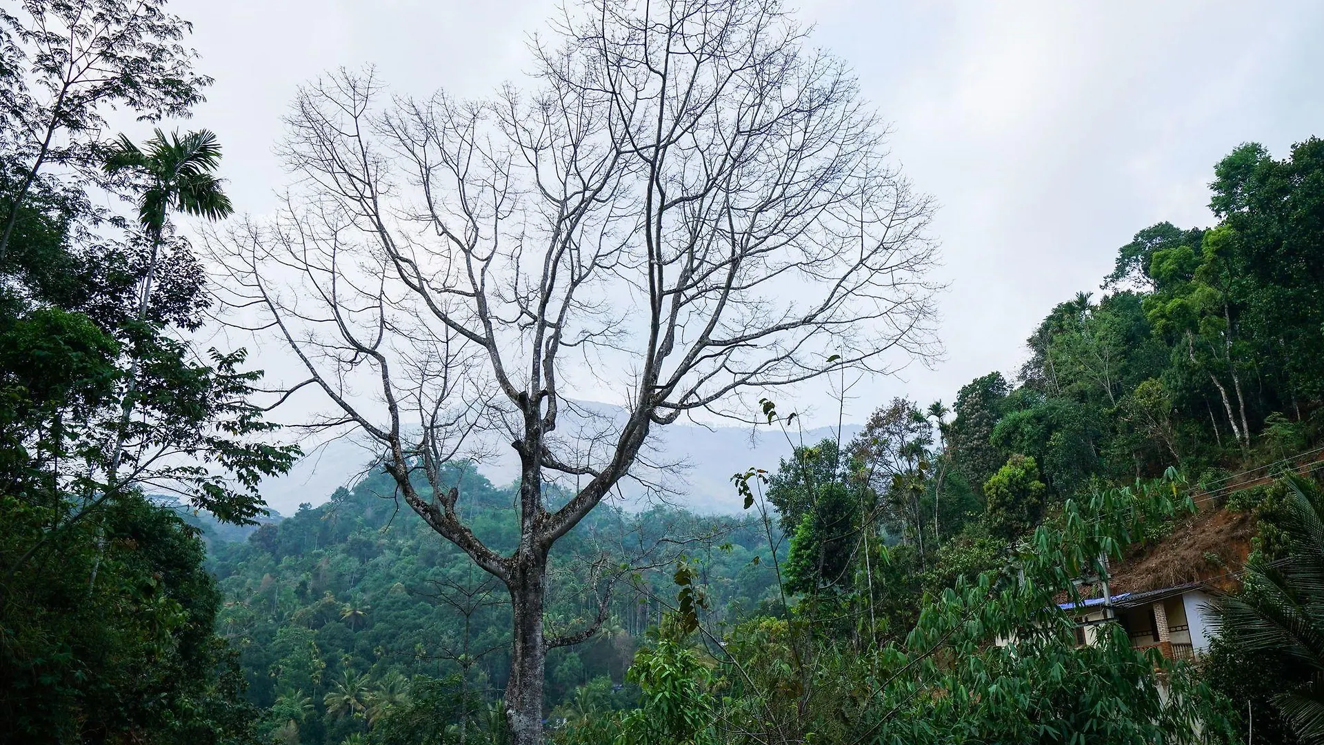 Oyo 12026 Planter'S Villa Munnar